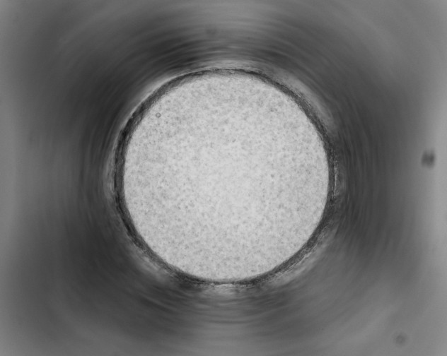 X0000102470828200808221640