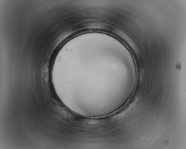 X0000102470829200808221640