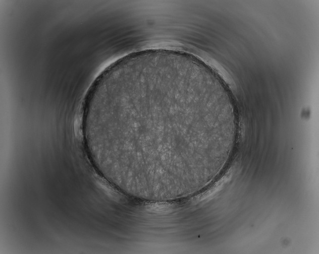 X0000102470830200808221640