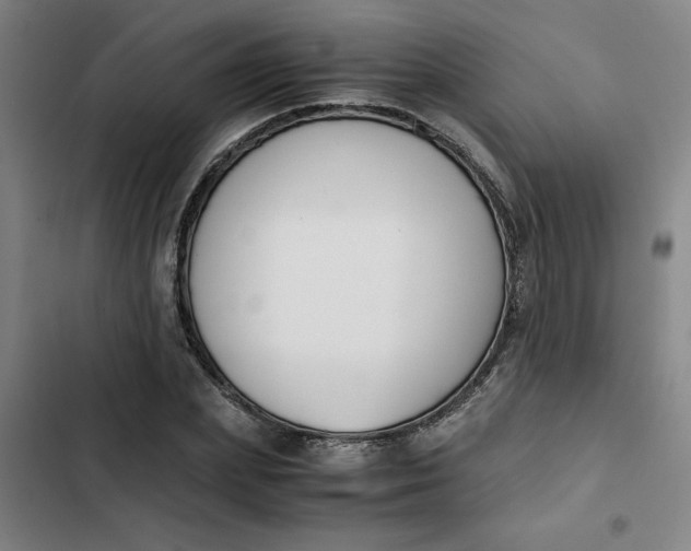 X0000102470831200808221640