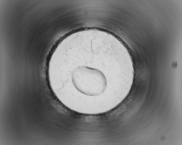 X0000102470832200808221640