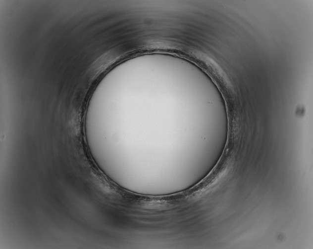 X0000102470833200808221640