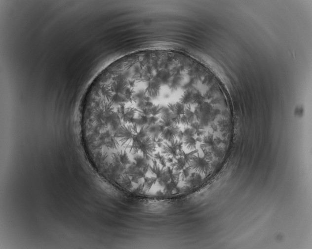 X0000102470835200808221641