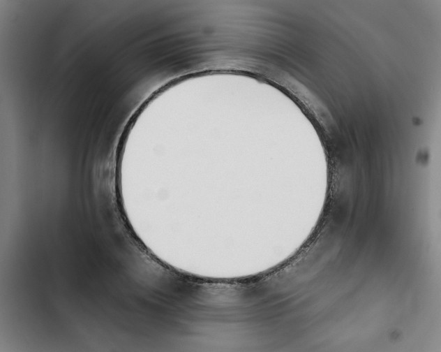 X0000102470836200808221641