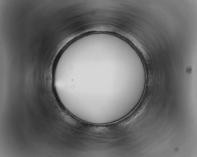 X0000102470837200808221641