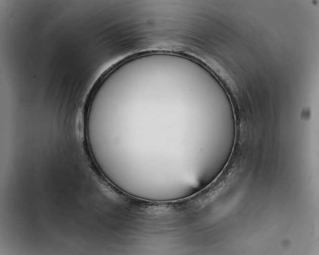 X0000102470838200808221641