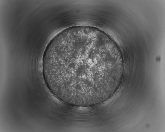 X0000102470839200808221641