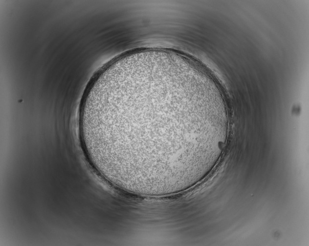 X0000102470840200808221641