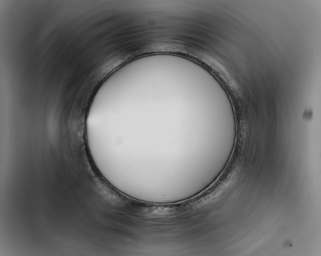 X0000102470841200808221641