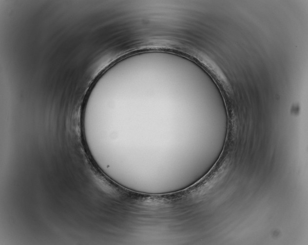 X0000102470842200808221641
