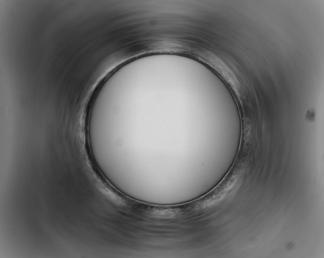 X0000102470843200808221641
