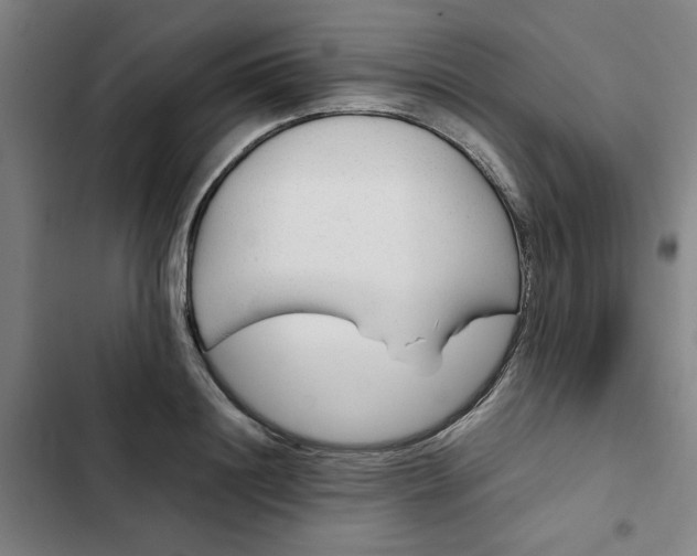 X0000102470844200808221641