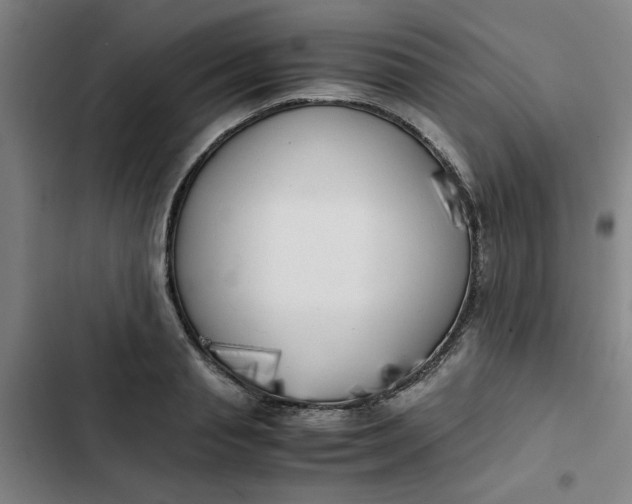 X0000102470845200808221641