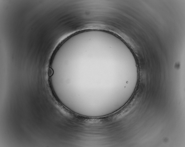 X0000102470846200808221641
