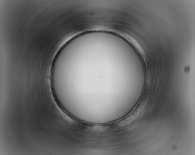 X0000102470847200808221641