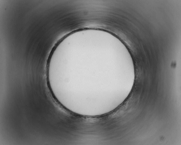 X0000102470848200808221641
