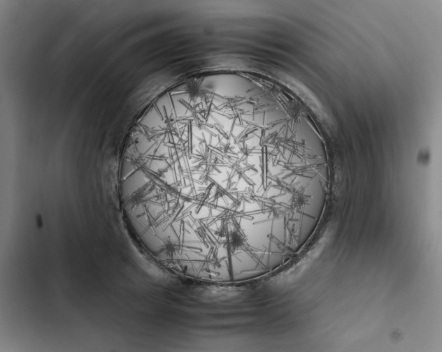 X0000102470849200808221641