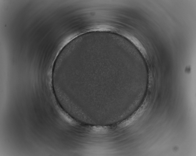 X0000102470850200808221641