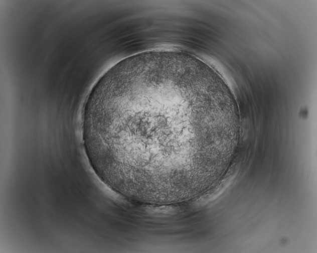 X0000102470851200808221641