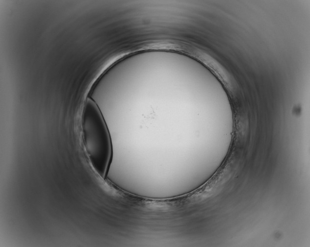 X0000102470852200808221641