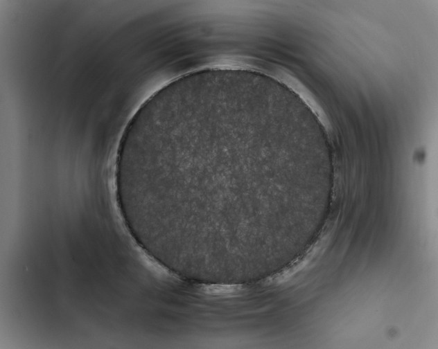 X0000102470853200808221641