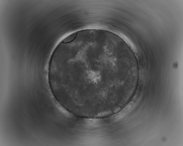X0000102470854200808221641