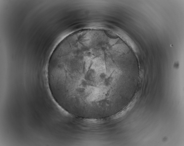 X0000102470855200808221641