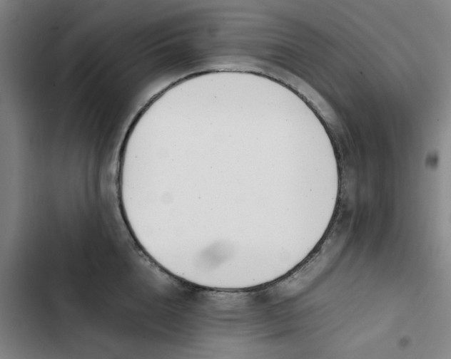 X0000102470856200808221641