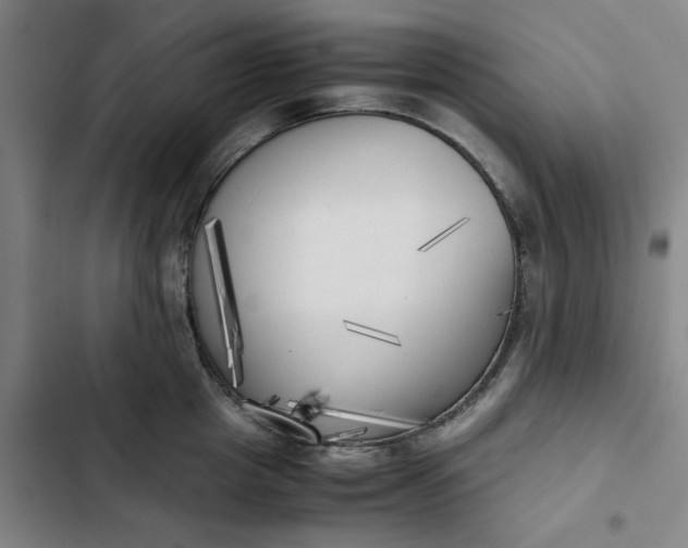 X0000102470857200808221641