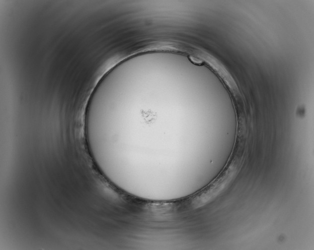X0000102470858200808221641