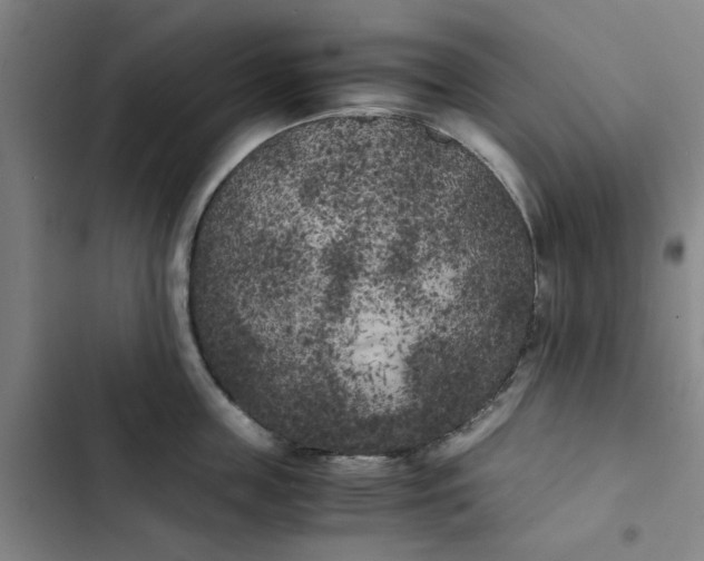 X0000102470859200808221641