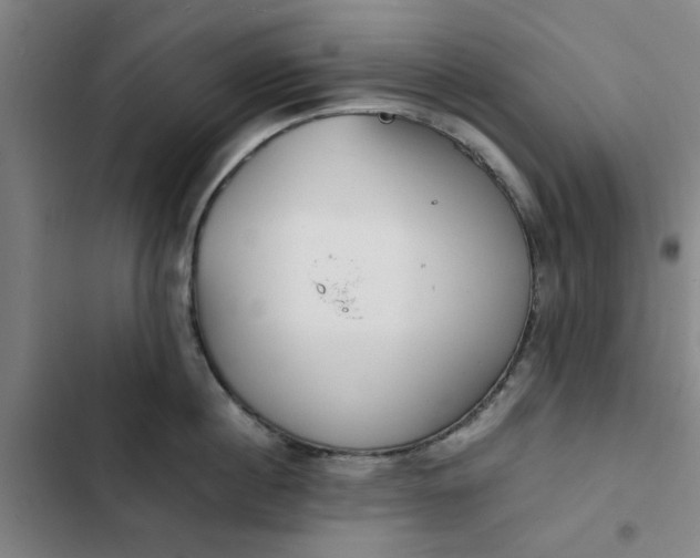 X0000102470860200808221641