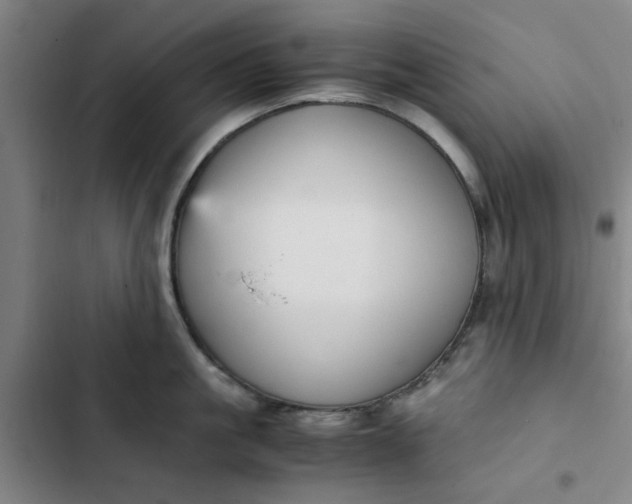 X0000102470861200808221641