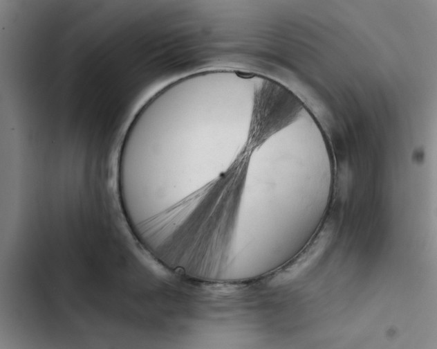 X0000102470862200808221641