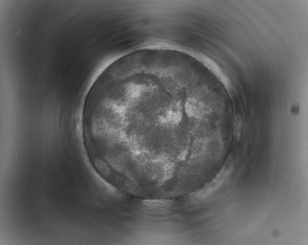 X0000102470863200808221641