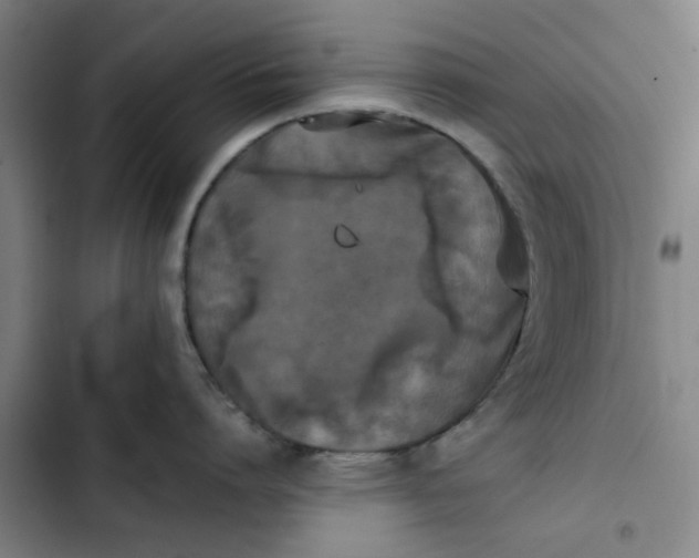 X0000102470864200808221641