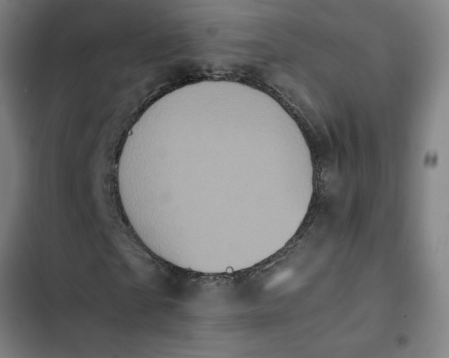 X0000102470865200808221640