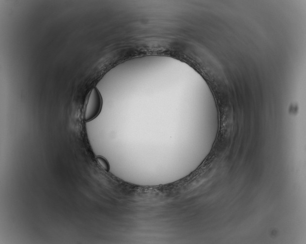 X0000102470866200808221640