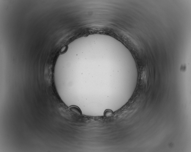 X0000102470868200808221640