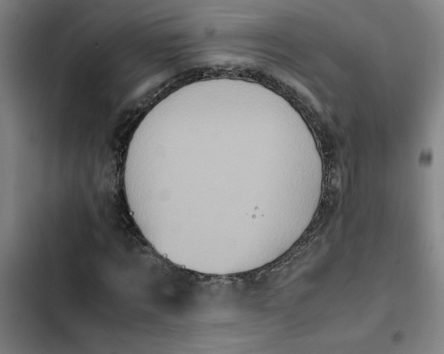 X0000102470869200808221640