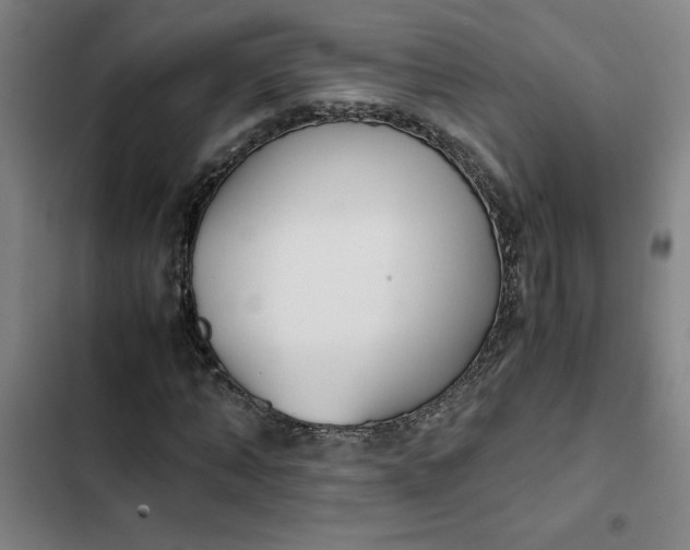 X0000102470870200808221640