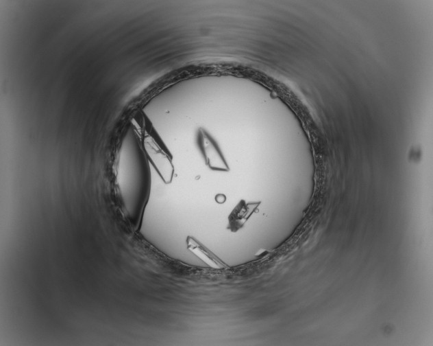 X0000102470871200808221640