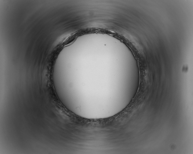 X0000102470872200808221640