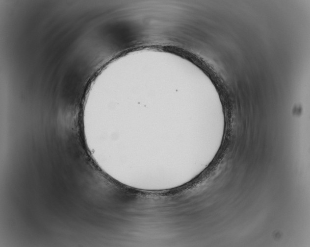 X0000102470873200808221640