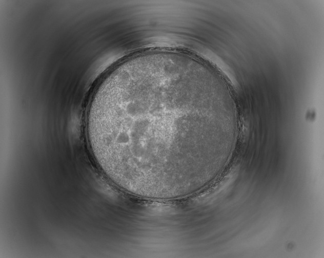 X0000102470874200808221640