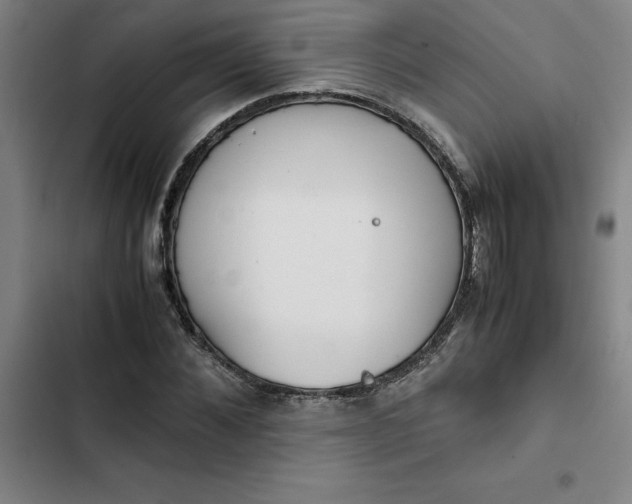 X0000102470876200808221640