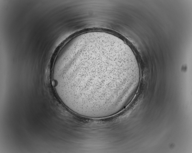 X0000102470877200808221640