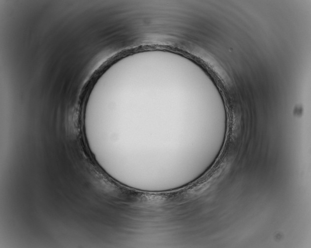 X0000102470878200808221640