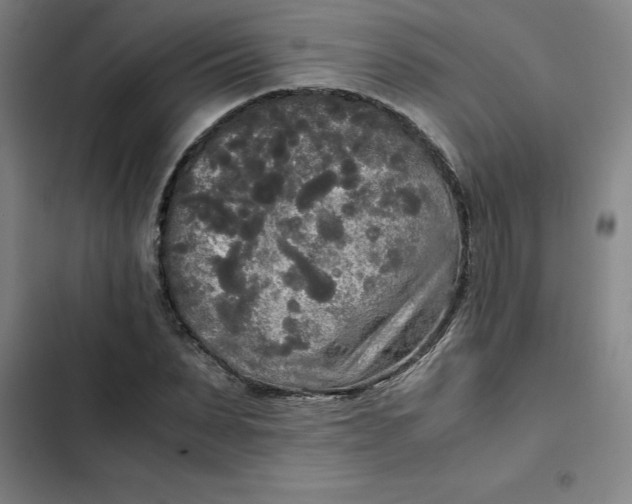 X0000102470879200808221640
