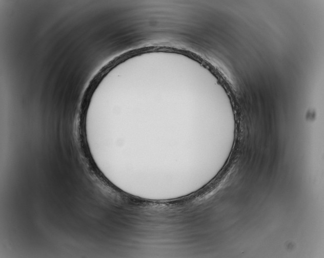 X0000102470880200808221640